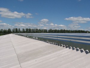IMG_0089